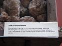 01, Potsdam (185)